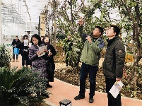【网络媒体走转改】孝感市网络媒体新春走基层活动之孝昌光伏农业产业园