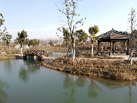 【网络媒体走转改】孝感市网络媒体新春走基层活动之湖北孝感金卉庄园景区