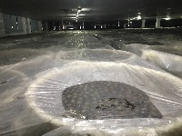 【网络媒体走转改】孝感市网络媒体新春走基层活动之湖北神丹健康食品有限公司