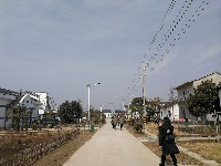 【网络媒体走转改】孝感市网络媒体新春走基层活动之陶家湖田园综合体