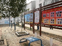 【网络媒体走转改】孝感市网络媒体新春走基层活动之道桥镇明星村