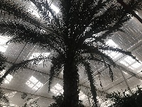 【网络媒体走转改】孝感市网络媒体新春走基层活动之孝昌光伏农业产业园
