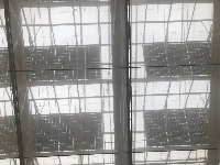 【网络媒体走转改】孝感市网络媒体新春走基层活动之孝昌光伏农业产业园