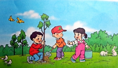 新华社评论员：种下一片新绿 收获美丽中国