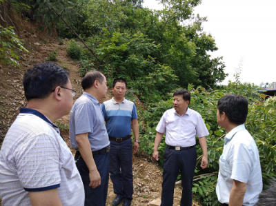 省厅倪钦亮处长一行检查汛中地质灾害防治工作
