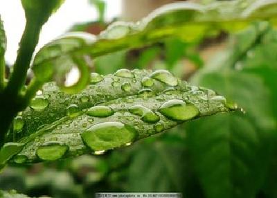 近期天气先雨后晴
