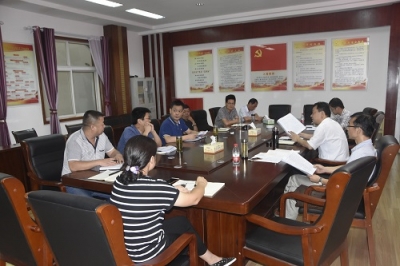 应城市委检查组到应城市局就落实全面从严治党主体责任调研督导