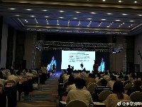 央企投资协会第三届夏季央企投资发展论坛在孝举办