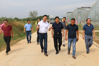 黄火廷一行调研督办孝南区违法用地整改暨设施农用地清理整治工作