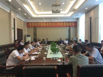 2018年孝感市中稻病虫防控工作检查验收会成功召开 