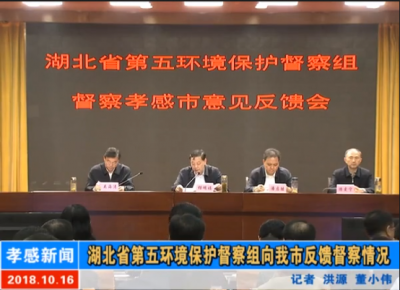 湖北省第五环境保护督察组向我市反馈督察情况