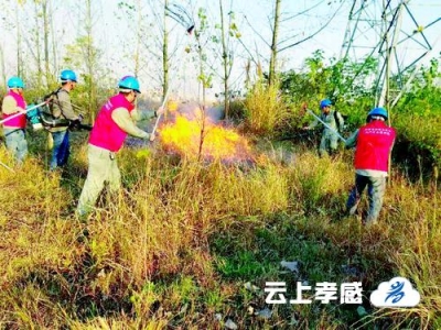 党员突击队奋勇降“火魔”