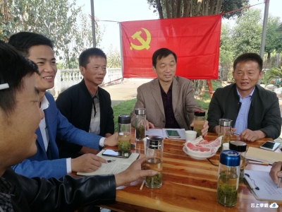 【云聚孝感 十抓十促】孝昌周巷：党建引领十里苗木长廊 打通群众脱贫致富路