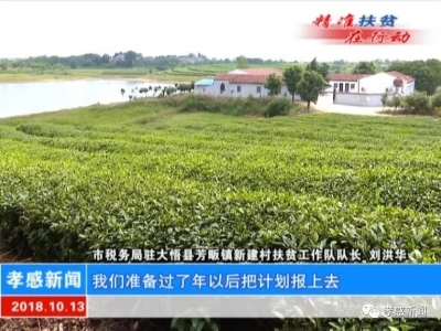 视频|【我扶贫 我光荣】因地制宜谋出路 开掘富源断穷根