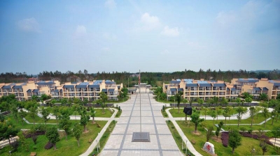 应城乡镇干部：“候鸟”住下来 “头雁”飞起来 