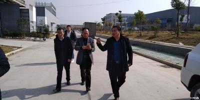 向国胜在安陆调研基层组织建设和农村电商工作