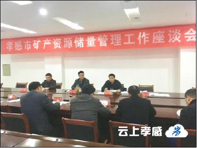 市局召开全市矿产资源储量管理工作座谈会