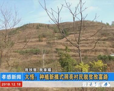我扶贫 我幸福|大悟：种植新模式照亮村民脱贫致富路