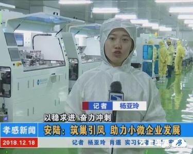 以稳求进 奋力冲刺|安陆：筑巢引凤 助力小微企业发展
