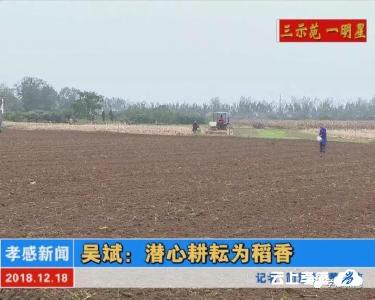 吴斌：潜心耕耘为稻香