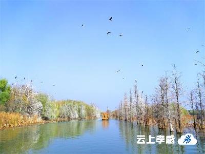  孝感朱湖国家湿地公园获评国家3A级旅游景区