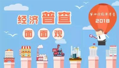 全市第四次全国经济普查入户登记动员电视电话会议召开