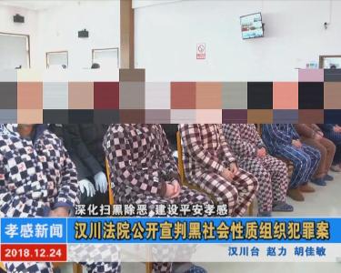 汉川法院公开宣判黑社会性质组织犯罪案