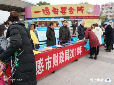 市财政局开展12·4国家宪法日法治宣传活动