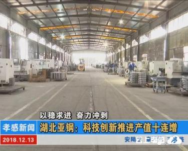 以稳求进 奋力冲刺|湖北亚钢：科技创新推进产值十连增