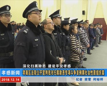 孝南区法院公开宣判我市扫黑除恶专项斗争首例黑社会性质组织案