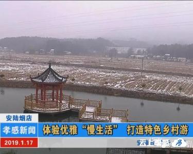 安陆烟店：体验优雅“慢生活” 打造特色乡村游