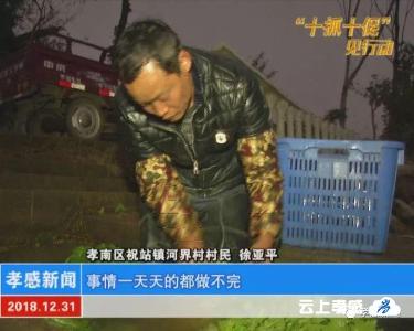 我脱贫 我光荣|徐亚平：勤劳走出脱贫路 干劲十足奔小康