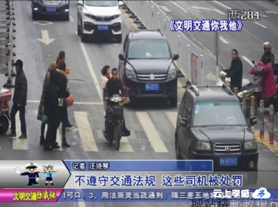交警曝光台  不遵守交通法规 这些司机被处罚