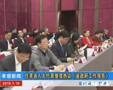 住孝省人大代表继续热议《省政府工作报告》