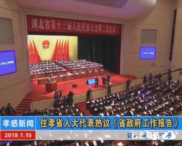 住孝省人大代表热议《省政府工作报告》