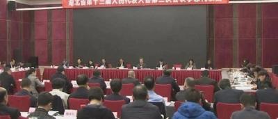 省委常委、省委秘书长梁伟年参加省十三届人大二次会议孝感代表团审议