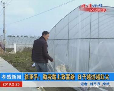 徐亚平：勤劳踏上致富路 日子越过越红火