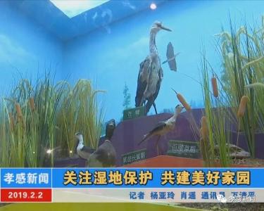 关注湿地保护 共建美好家园