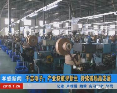 千志电子：产业移植寻新生 持续破局赢发展