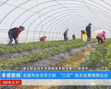 暖心！一村多名大学生计划：圆了大学梦 共建新农村