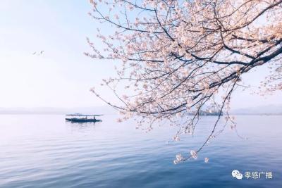 【听节目】三月，一个浪漫的时节