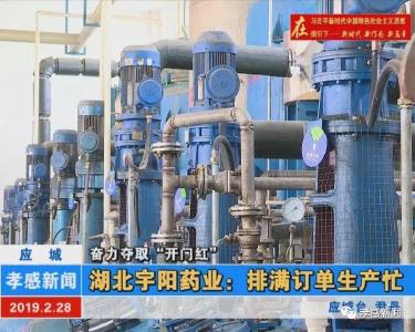 奋力夺取“开门红” |湖北宇阳药业：赶制订单生产忙