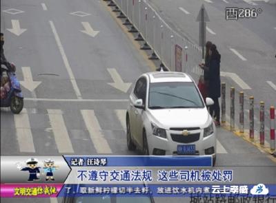 交警曝光台  不遵守交通法规 这些司机被处罚