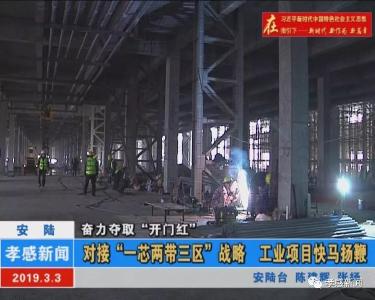 赞！安陆：对接“一芯两带三区” 战略 工业项目快马扬鞭