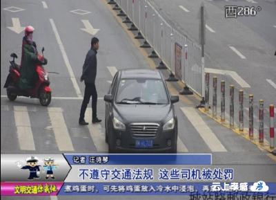 交警曝光台  不遵守交通法规 这些司机被处罚