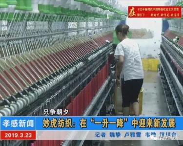 只争朝夕|妙虎纺织：在“一升一降”中迎来新发展