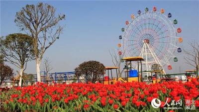 我市部署推进国家卫生城市创建工作