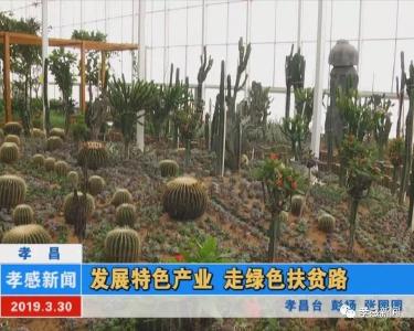 发展特色产业 走绿色扶贫路