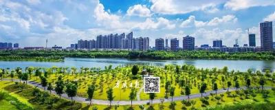 创卫热潮来袭，咱孝感将有大动作了！
