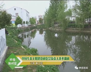 环保新时空（第31期）